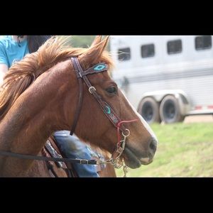 Meet your Posher, Ella